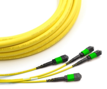 Show details for 24 Fiber Custom Trunk Cable Assembly - (x2) 12 Fiber MPOs on Each End - 9/125µm Singlemode OS2 - Micro Distribution Yellow Plenum Rated - Custom Length  24 Fiber MPO, Singlemode, OS2 Trunk Cables, Config