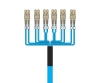 Picture of 12 Fiber Custom Cable Assembly - 50/125µm Multimode OM3 - Distribution Plenum Rated