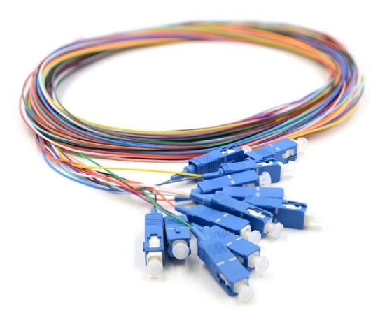 3m, 12 Fiber SC Pigtail, Singlemode, OS2