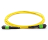 12 Fiber MPO/APC Standard Female Cable Assembly