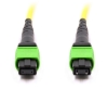 10m, 12 Fiber MPO Cable, Singlemode, MPO - MPO