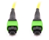 10m, 12 Fiber MPO Cable, Singlemode, MPO - MPO