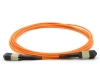 10m, 24 Fiber MTP Cable, Multimode OM1, Pin 1-13