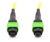 12 Fiber MPO/APC Standard Male to Female Cable