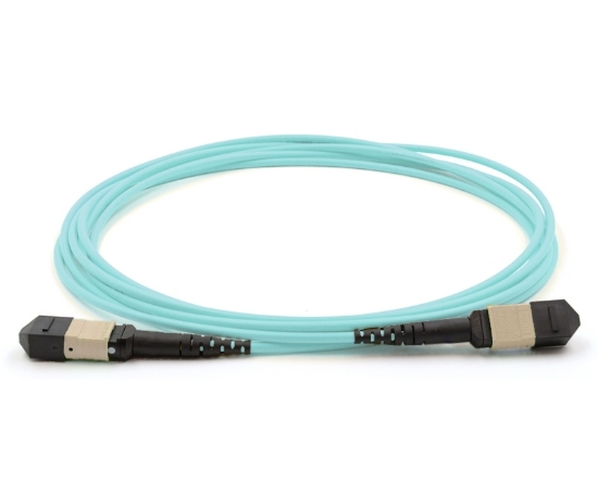 24 Fiber MTP Cable, Standard Female, Multimode OM4, 1 Meter