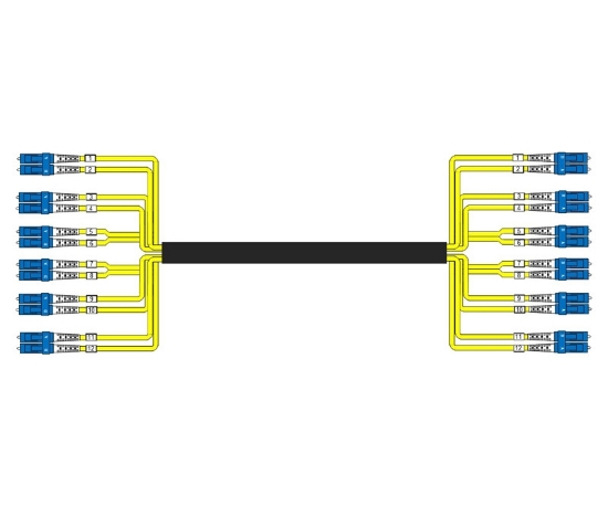 Picture of 12 Fiber Custom Indoor/Outdoor Cable Assembly - 9/125µm Singlemode OS2 - Plenum Rated